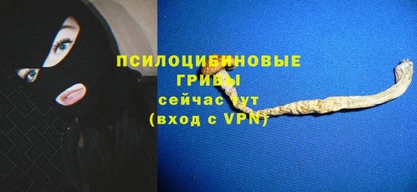 хмурый Волосово