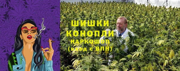 молекула духа Волоколамск