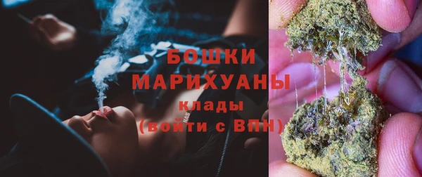 молекула духа Волоколамск